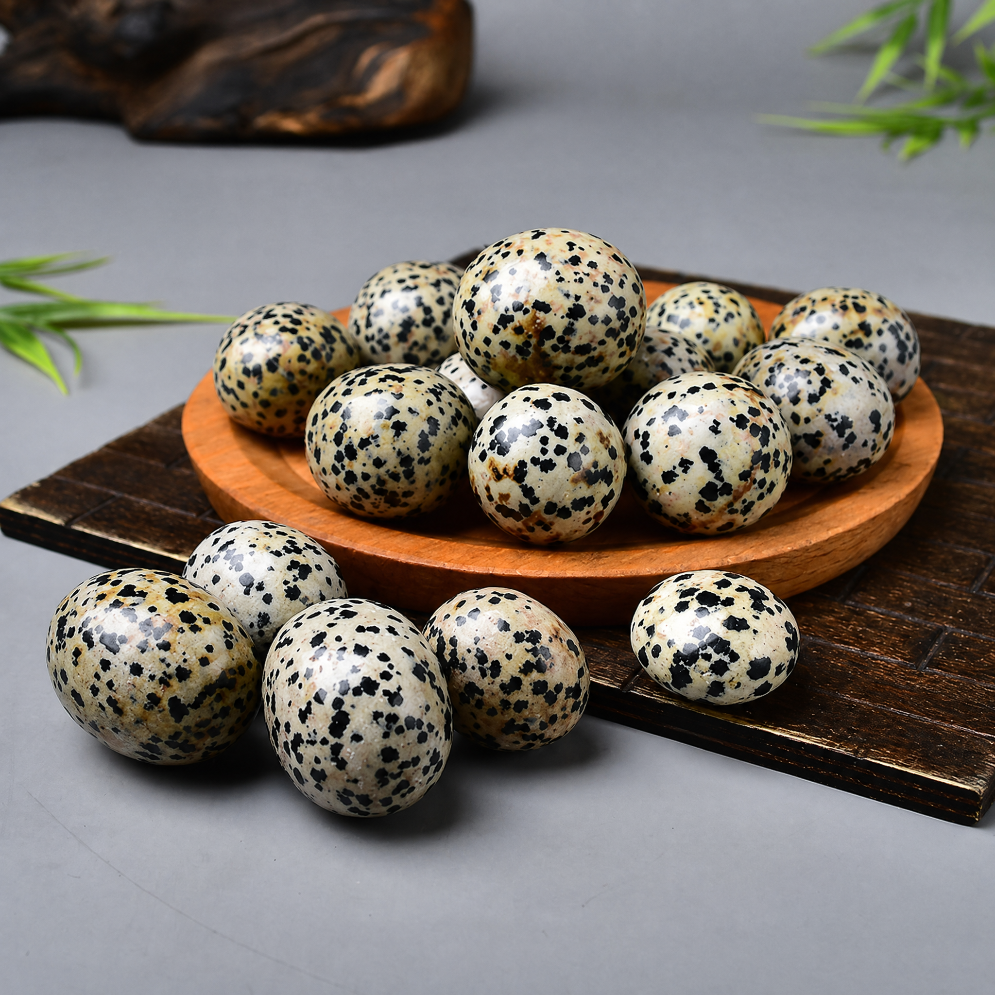 Dalmatian Jasper Tumbled Stone 5