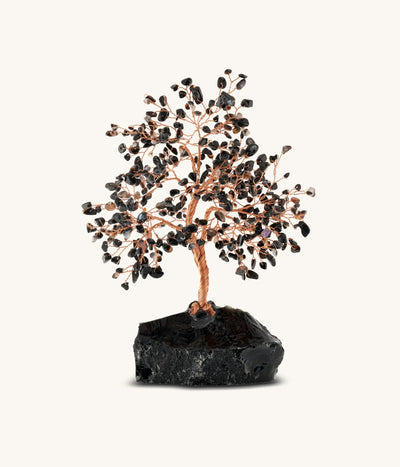 Grounded Awareness Black Onyx Feng Shui Tree crystal stone 2025