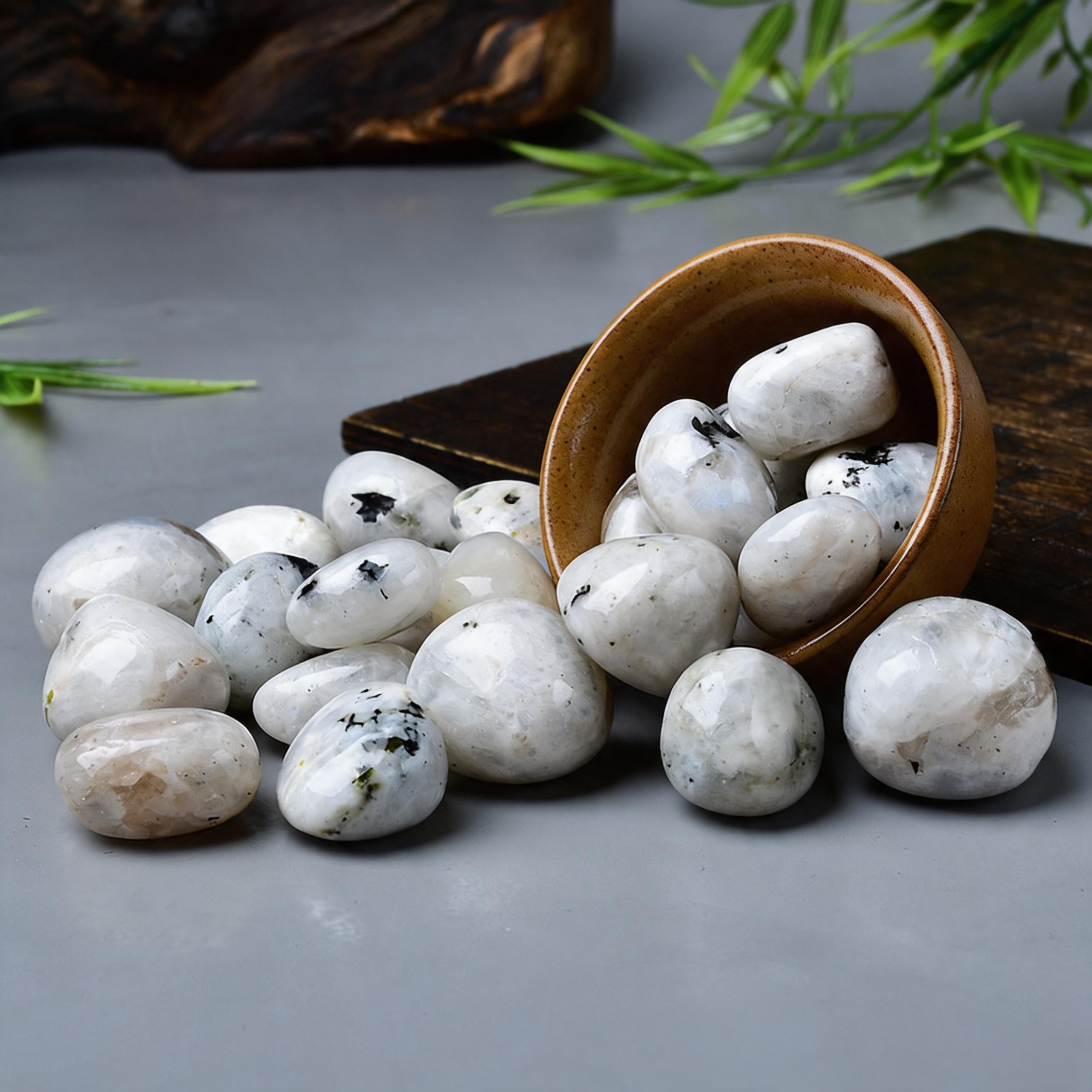 Black Spot White Moonstone Tumbled Stone 3
