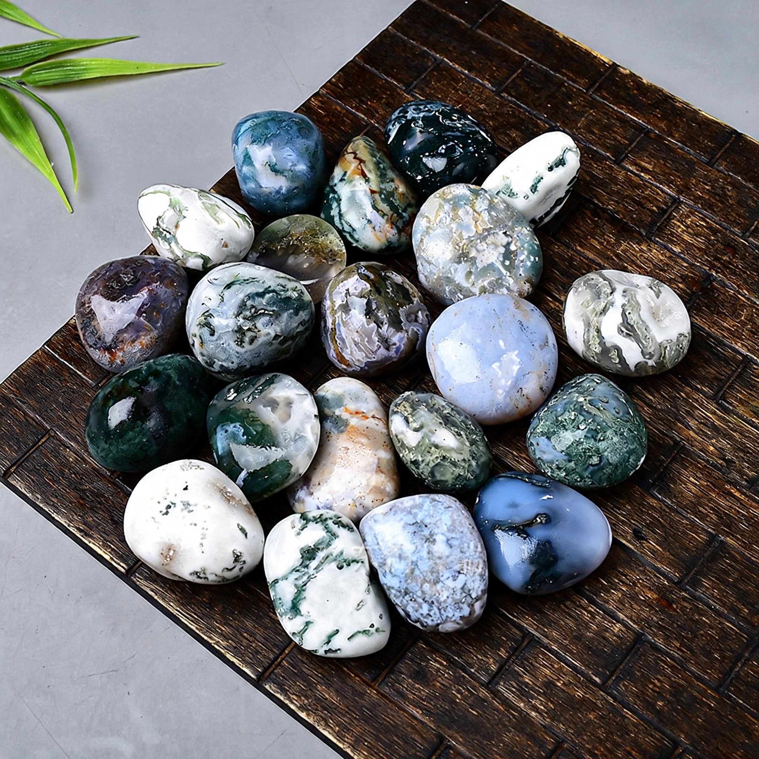 Moss Agate Tumbled Stone 5